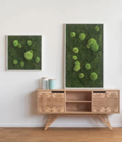 StyleGREEN Bild Aus Wald- Und Kugelmoos, Quadratisch, Ca. B55/H55/T6 Cm -Ubbink Verkäufe 6429880 WE MO 001 Wald Kugelmoosbild55x55cmStylegreen