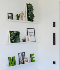 StyleGREEN Bild Im Dschungeldesign, Rechteckig, Ca. B57/H27/T16 Cm 9 StyleGREEN Bild Im Dschungeldesign, Rechteckig, Ca. B57/H27/T16 Cm -Ubbink Verkäufe 6429930 WE MO 002 Pflanzenbild57x27cmStylegreen