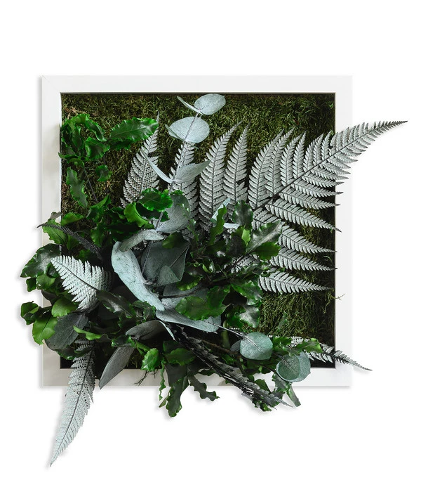 StyleGREEN Bild Im Dschungeldesign, Quadratisch, Ca. B22/H22/T16 Cm 3 StyleGREEN Bild Im Dschungeldesign, Quadratisch, Ca. B22/H22/T16 Cm