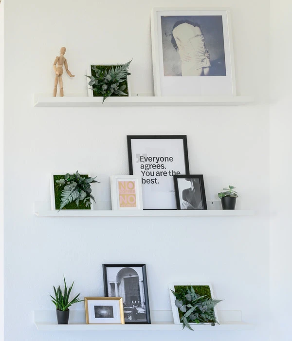 StyleGREEN Bild Im Dschungeldesign, Quadratisch, Ca. B22/H22/T16 Cm 4 StyleGREEN Bild Im Dschungeldesign, Quadratisch, Ca. B22/H22/T16 Cm – Bild 2