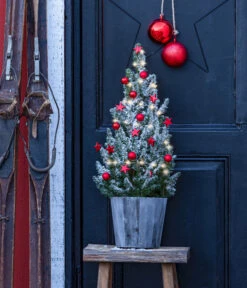 Ubbink Verkäufe 23 Ubbink Verkäufe -Ubbink Verkäufe 6552640 WE MO 001 WeihnachtsbaeumchenWoodRot19cmLED