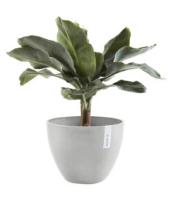 Ecopots Kunststoff-Topf Antwerp, Rund -Ubbink Verkäufe 6614747 WE FS 003 EcopotsKunststoffTopfAntwerprund