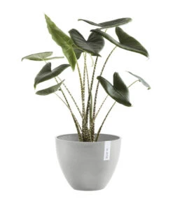 Ecopots Kunststoff-Topf Antwerp, Rund -Ubbink Verkäufe 6614747 WE FS 004 EcopotsKunststoffTopfAntwerprund