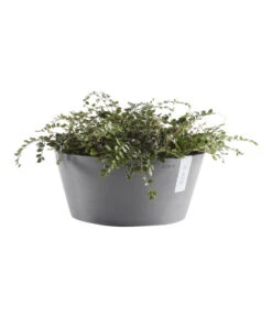 Ecopots Kunststoff-Topf Frankfurt, Rund -Ubbink Verkäufe 6614952 WE FS 003 EcopotsKunststoffTopfFrankfurtrund