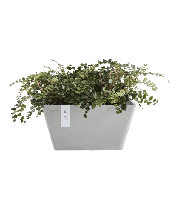 Ecopots Kunststoff-Topf Berlin, Quadratisch 4 Ecopots Kunststoff-Topf Berlin, Quadratisch – Bild 2