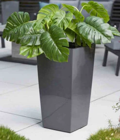 Siena Garden Kunststoff-Säule Lyon, Konisch, Ca. B35/H68/T35 Cm -Ubbink Verkäufe 6655351 WE MO 002 PflanzgefaessLyon35Anthrazit