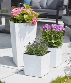 Siena Garden Kunststoff-Säule Eco Nizza, Konisch, Ca. B40/H75/T40 Cm -Ubbink Verkäufe 6655427 WE MO 002 PflanzgefaessNizza40Weiss