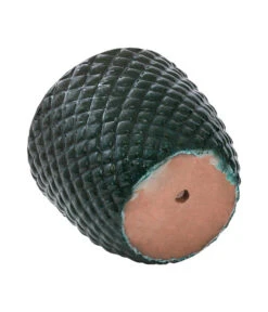 Dehner Keramik-Topf Elite -Ubbink Verkäufe 6705461 6505479 6705487 WE DE 001 Keramikpflanztopf Elite