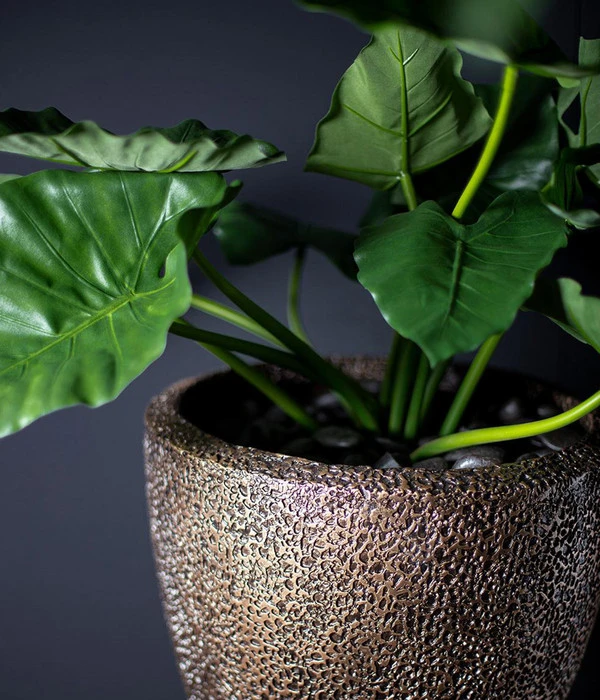 Fleur Ami Kunststoff-Topf Coral, Konisch, Bronze 6 Fleur Ami Kunststoff-Topf Coral, Konisch, Bronze – Bild 4