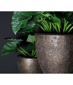 Fleur Ami Kunststoff-Topf Coral, Konisch, Bronze 12 Fleur Ami Kunststoff-Topf Coral, Konisch, Bronze -Ubbink Verkäufe 6757801 WE MO 003 FleurAmiPflanzgefaessCoral