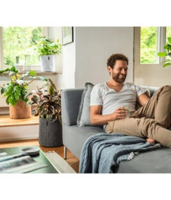 LECHUZA® TRENDCOVER Felt, All-in-One Set -Ubbink Verkäufe 6946891 6946933 6947097 6947139 WE MO 001 Trendcover