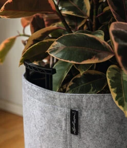 LECHUZA® TRENDCOVER Felt, All-in-One Set -Ubbink Verkäufe 6947121 6946933 WE MO 001 TrendcoverFeltDunkelgrau