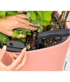 LECHUZA® Kunststoff-Topf Pila Color Planter, Rund, Ca. Ø35/H33 Cm 9 LECHUZA® Kunststoff-Topf Pila Color Planter, Rund, Ca. Ø35/H33 Cm -Ubbink Verkäufe 6963664 WE MO 001 LechuzaCOLORPLANTER