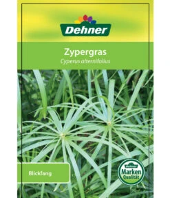 Zypergras - Cyperus Alternifolius -Ubbink Verkäufe 8218224 Zypergras Etikett 1