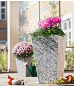 Alpenveilchen, Gerandet -Ubbink Verkäufe 8244014 8217580 PR MO 001 MuehlenbeckiaDrahtweinAlpenveilchenGranitTopfGrau30x30x49cm