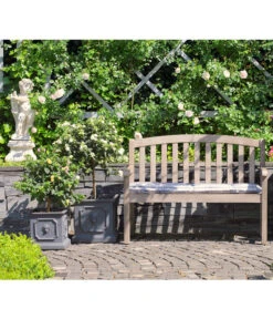 Wandelröschen, Stämmchen -Ubbink Verkäufe 8589442 8588451 PR MO 001 LantanenWandelroeschenKuebelpflanzenHerzigBlumenparkJuni2015