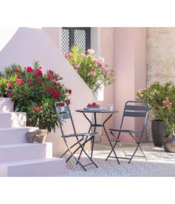 XXL Oleander, Verschiedene Sorten, Ca. 130-150 Cm 10 XXL Oleander, Verschiedene Sorten, Ca. 130-150 Cm -Ubbink Verkäufe 8596900 WE MO 001 Oleander