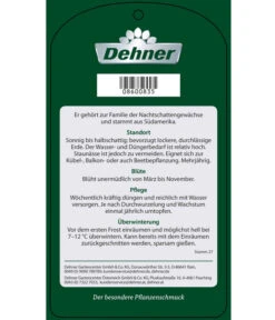 Blauer Enzianstrauch 11 Blauer Enzianstrauch -Ubbink Verkäufe 8600835 BlauerEnzianstrauch Etikett 2