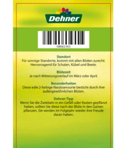 Narzisse 'Jetfire', Schale 9 Narzisse 'Jetfire', Schale -Ubbink Verkäufe 8662363 Narcissus Jetfire Schale 2016 2