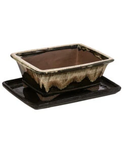 Dehner Keramik-Bonsaischale, Rechteckig, Braun/beige