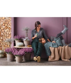 Knospenheide 'Hilda®' -Ubbink Verkäufe 8810319 PR MO 003 CallunaHildaT11Knospenheide 8811184 CorokiaCotoneasterT12ZickzackstrauchGC20