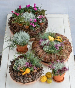 Dehner Kranz Weinrebe Frost, Ca. Ø48 Cm -Ubbink Verkäufe 8815763 6273635 WE MO 001 MuecaKrazWeinrebeFrost