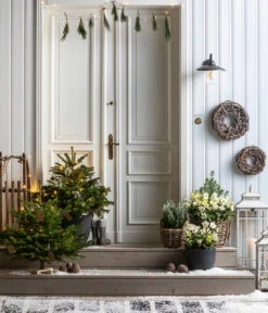 Dehner Kranz Weinrebe Frost, Ca. Ø48 Cm -Ubbink Verkäufe 8996100 8014870 8014557 8014722 8014847 WE MO 001 AbiesNordmannianaHolzkreuzWeihnachtsbaeume